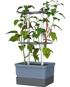 Gusta Garden Pflanzentopf CHARLY CHILI Starterset, 3-Teilig, Blaugrau Image 1