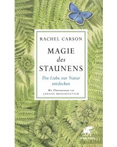 Magie des Staunens Image 1