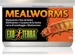 Exo Terra Reptilienfutter Mealworms 34g