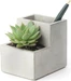 Kikkerland Concrete Desktop Planter