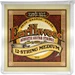Ernie Ball Earthwood Medium12-String Bronze