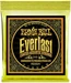 Ernie Ball Akustik Everlast