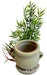 Sydeco Dekoration Air Diffuser Jar Plant, 35 x 12 x 12 cm