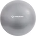 Schildkröt Gymnastikball