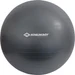 Schildkröt Gymnastikball