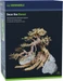 Dennerle Bonsai Box