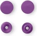 Prym Druckknopf Color Snaps, lila 12.4 mm, Karte 30 Stk.