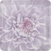 Kleine Wolke Badematte Dahlia Lila