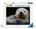 Ravensburger Süsser kleiner Otter