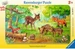 Ravensburger Tierkinder des Waldes