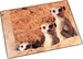 Läufer Erdmännchen