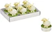 G. Wurm Teelicht Schaf 4x4x4cm 6-er Set, aus Wachs weiss (B/H/T) 14x6x9cm