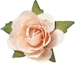 Hobby Fun Streudeko Rosen 20 Stück, Aprikose