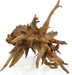 Amazonas Corbo-Wurzel small