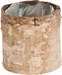 Opiflor Birkentopf Crusty, 7 cm Nature