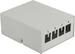Delock Keystone Patchpanel 4 Port grau