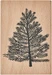 Rico Design Stempel Fir Tree Nadelbaum