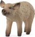 Schleich Wollschwein Ferkel