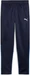 Puma teamGOAL Training Pant Jr