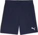 Puma teamGOAL Shorts