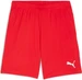 Puma teamGOAL Shorts