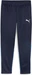Puma teamGOAL Training Pant