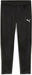 Puma teamGOAL Training Pant