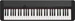 Casio CT-S1
