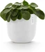 Ecopots Oslo