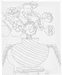 Creativ Company Keilrahmen Blumenstrauss 24 x 30 cm, Format: 24