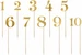 Partydeco Nummernpicker in Gold