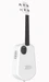 Popu Music Populele 2 Pro