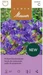 Samen Mauser Campanula glomerata, Bio: Nein, Blütenfarbe: Blau
