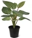 Botanic-Haus Kunstpflanze Philodendron Birkin 30 cm, Produkttyp