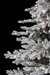 STT Snowed Tree