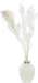 Soli Collection Trockenblumen Ruscus 70-75 cm, Weiss