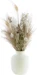 Soli Collection Trockenblumen Gyps