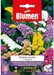 Blumen Saatgut Strandflieder Mix