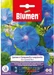 Blumen Saatgut Grossblütige Kletterwinde