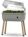 Gusta Garden Sammy Salad