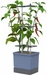 Gusta Garden Aufzuchttöpfe Charly Chili XL Blau