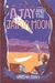 Ajay and the Jaipur Moon