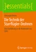Die Technik der Starrflügler-Drohnen