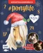 # ponylife Mein Adventskalenderbuch Von Lia und Lea