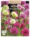 Gartenmomente: Blumen im Garten