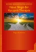 Neue Wege der Kurzzeit-Therapie