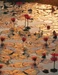 Lotus Pond