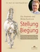 Die Anatomie und Biomechanik von Stellung und Biegung