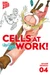 Cells at Work! 4