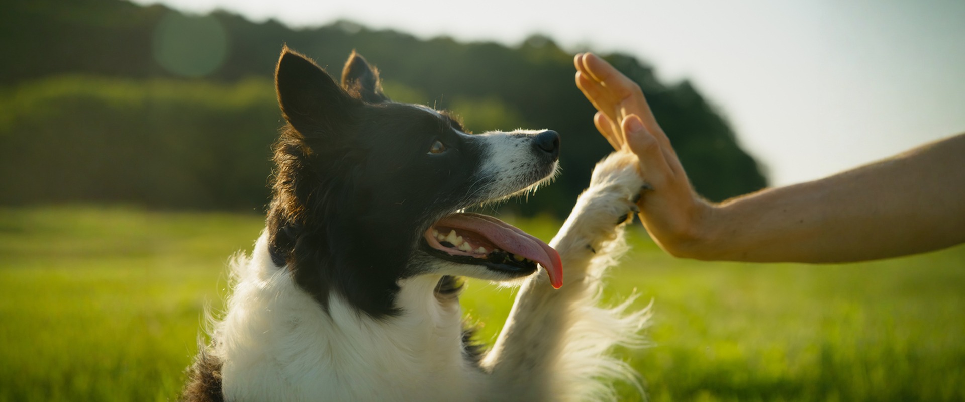 Tierisch gut versorgt